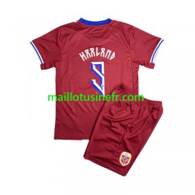 Maillot de Foot Norvège Erling Haaland 9 Domicile 2024 - Enfant